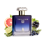 Trillium Emir By Paris Corner Eau De Parfum 100ml
