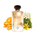 Ophylia Stellar By Fragrance World Eau De Parfum 80ml