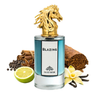 Blazing By Fragrance World Eau De Parfum 80ml EDP