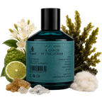 A Chaos In The Ocean Emir By Paris Corner Eau De Parfum 100ml