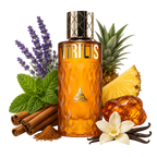 Virilis By Paris Corner Eau De Parfum 100ml