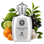 Opulentia Inverno Emir By Paris Corner Eau De Parfum 100ml
