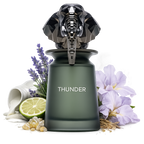 Thunder By French Avenue Eau De Parfum 100ml