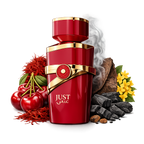 Just Anabi By Fragrance World Eau De Parfum 100ml