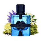 Magnetiq Aromatix By French Avenue Extrait De Parfum 100ml