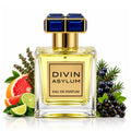Divin Asylum By French Avenue Eau De Parfum 100ml