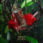 Ibisco Nirvana By Paris Corner Extrait De Parfum 65ml