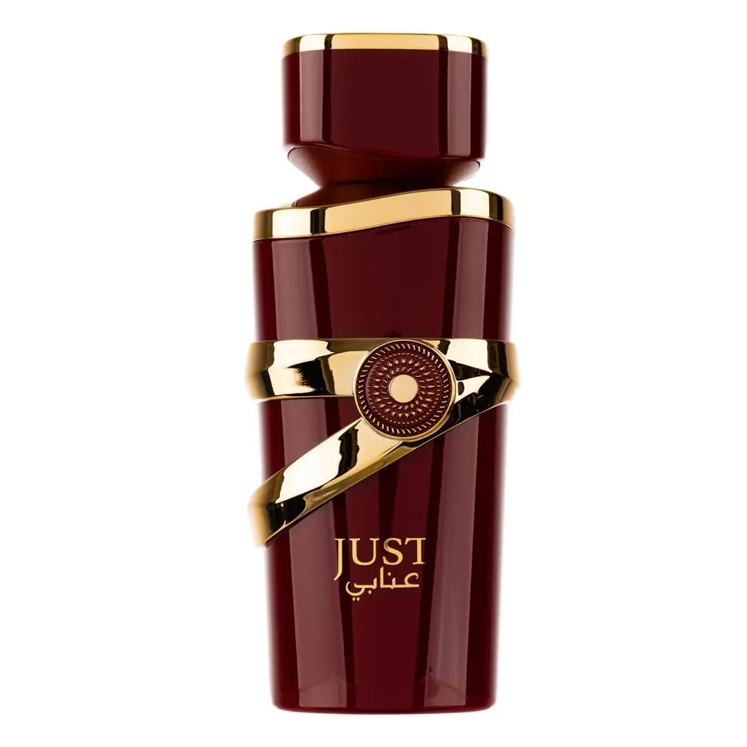 Just Anabi By Fragrance World Eau De Parfum 100ml