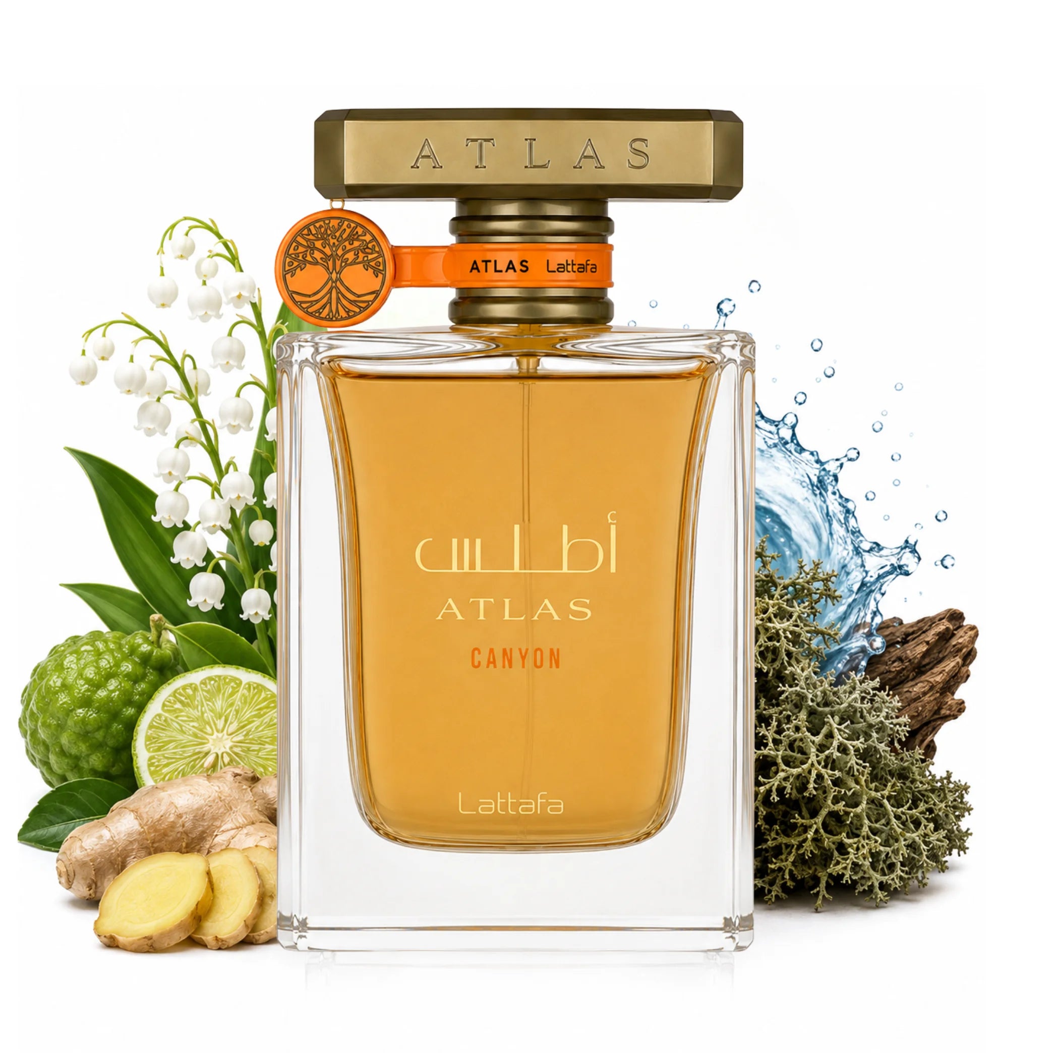 Atlas Canyon By Lattafa Eau De Parfum 55ml