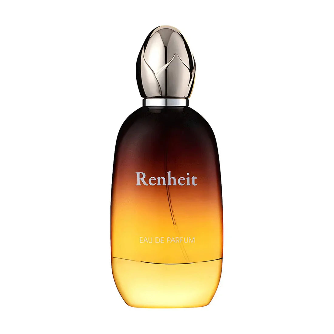 Renheit By Fragrance World Eau De Parfum 100ml
