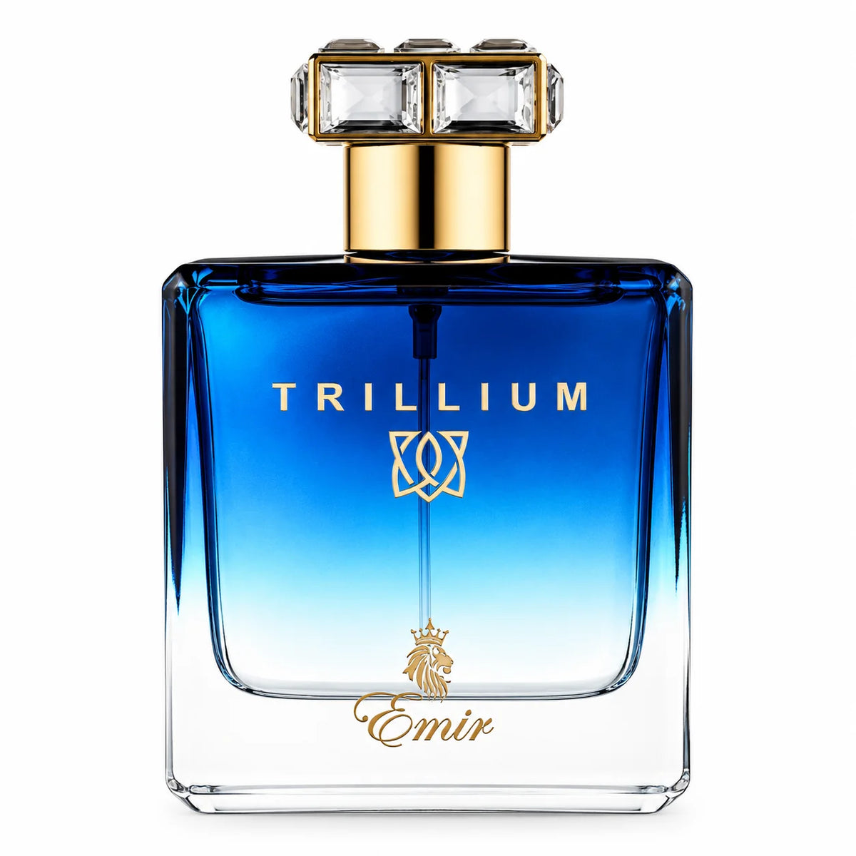 Trillium Emir By Paris Corner Eau De Parfum 100ml