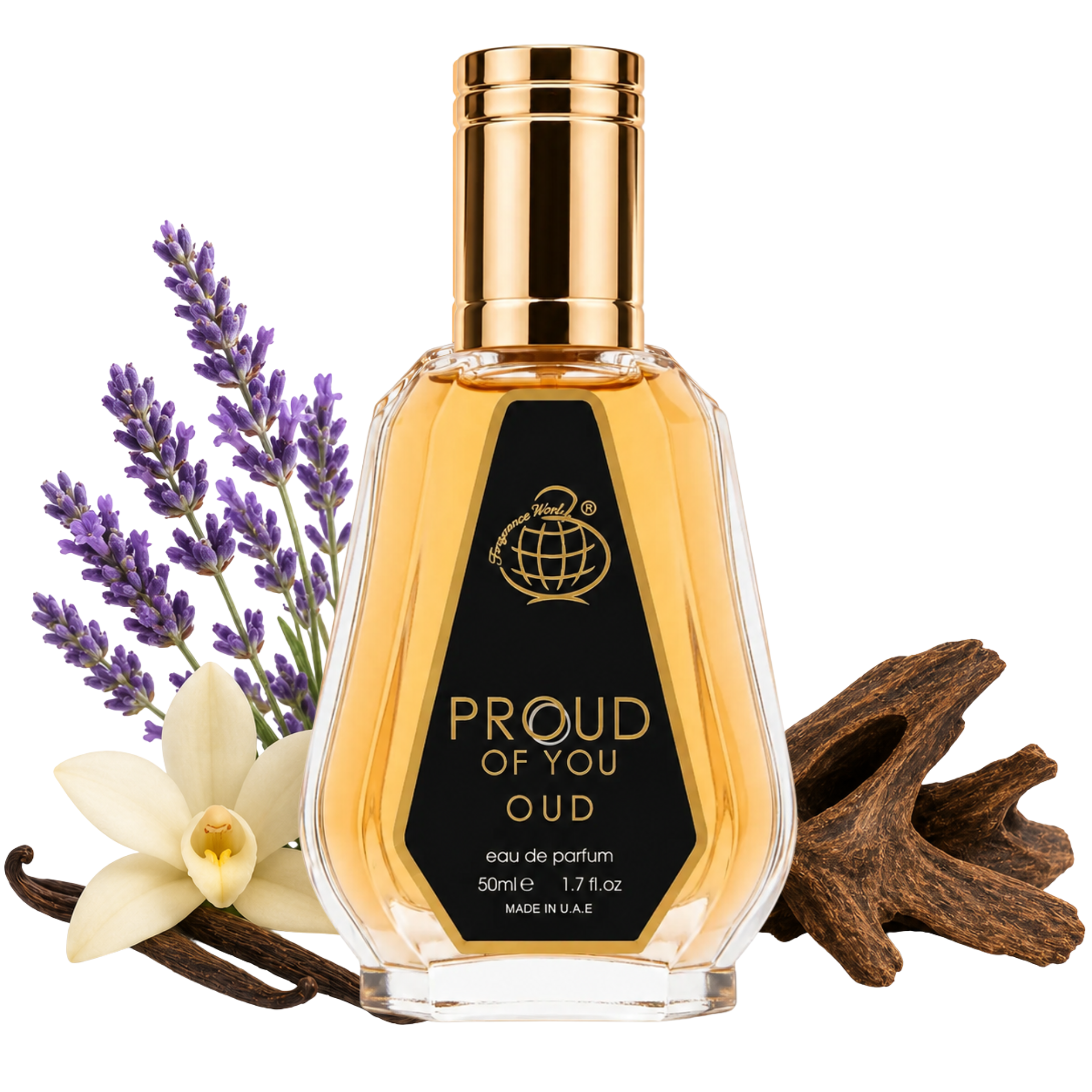 Proud Of You Oud By Fragrance World Eau De Parfum 50ml