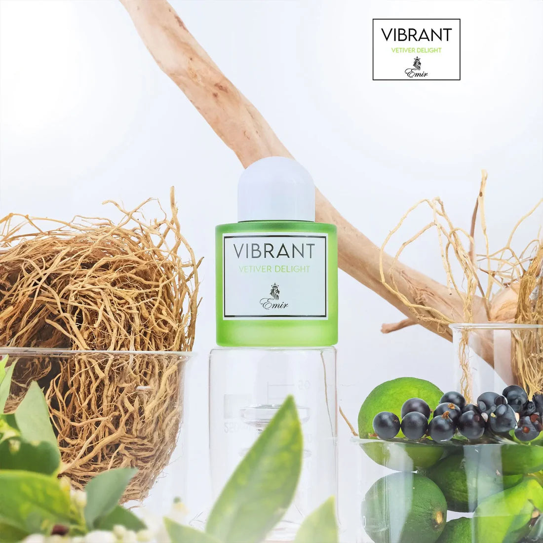 Vibrant Vetiver Delight By Paris Corner Eau De Parfum 100ml